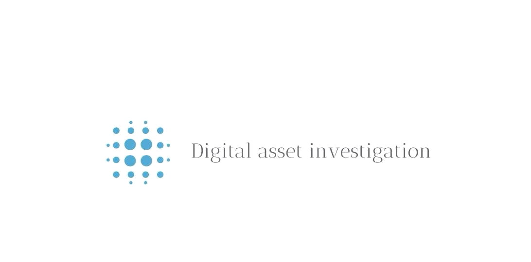 Digital Asset Investigation Logo